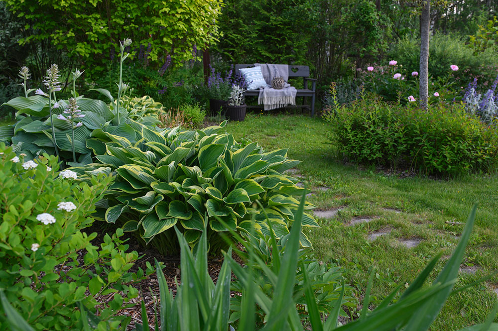 garden